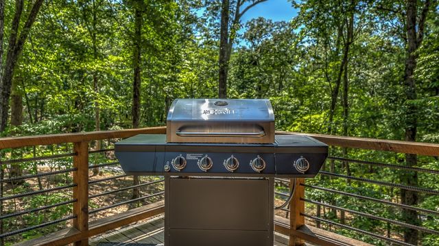 149 Heritage Drive, Mineral Bluff, GA 30559