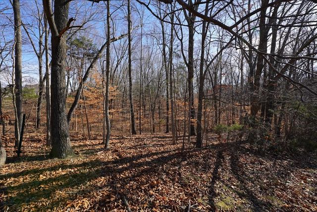 7228 McCormick Ln, Fairview, TN 37062