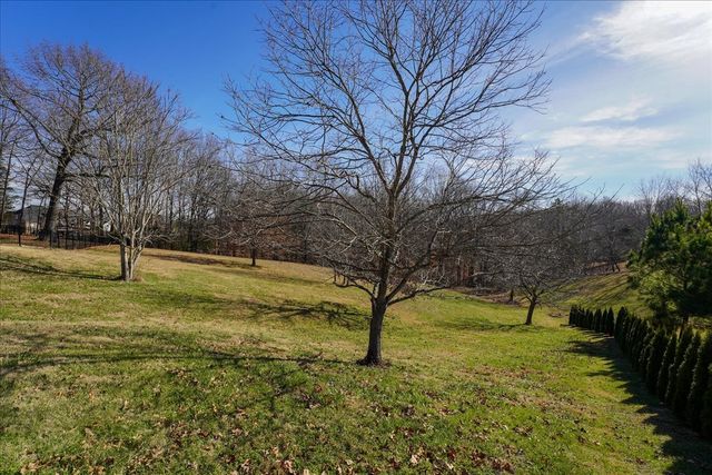 7228 McCormick Ln, Fairview, TN 37062