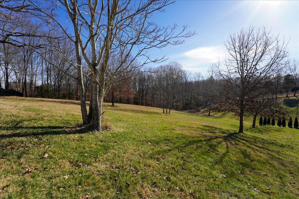 7228 McCormick Ln, Fairview, TN 37062