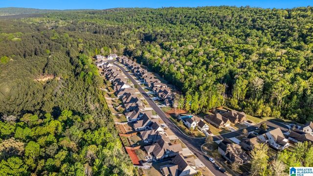 462 BALLANTRAE ROAD, Pelham, AL 35124