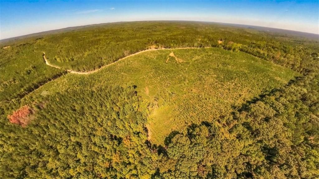 Image 10 of property listing at 0 Hutcheson Ferry Road, Whitesburg, GA 30185