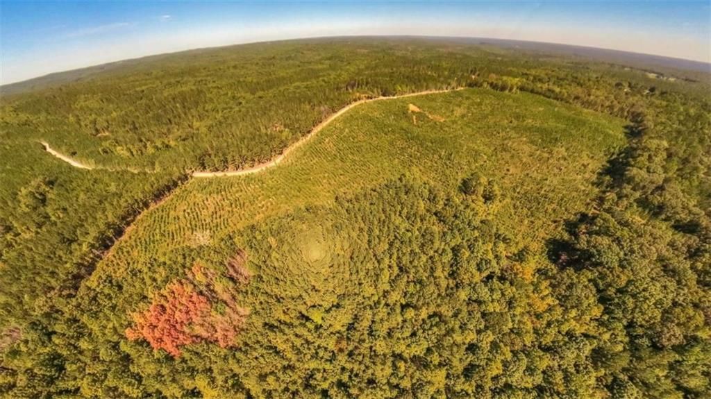 Image 11 of property listing at 0 Hutcheson Ferry Road, Whitesburg, GA 30185