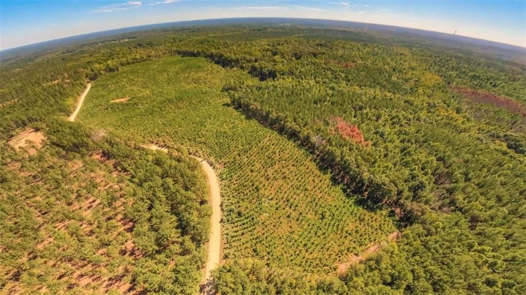 Image 12 of property listing at 0 Hutcheson Ferry Road, Whitesburg, GA 30185