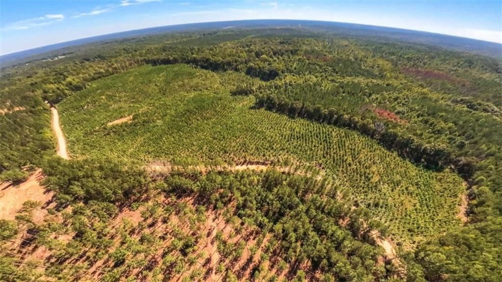 Image 13 of property listing at 0 Hutcheson Ferry Road, Whitesburg, GA 30185