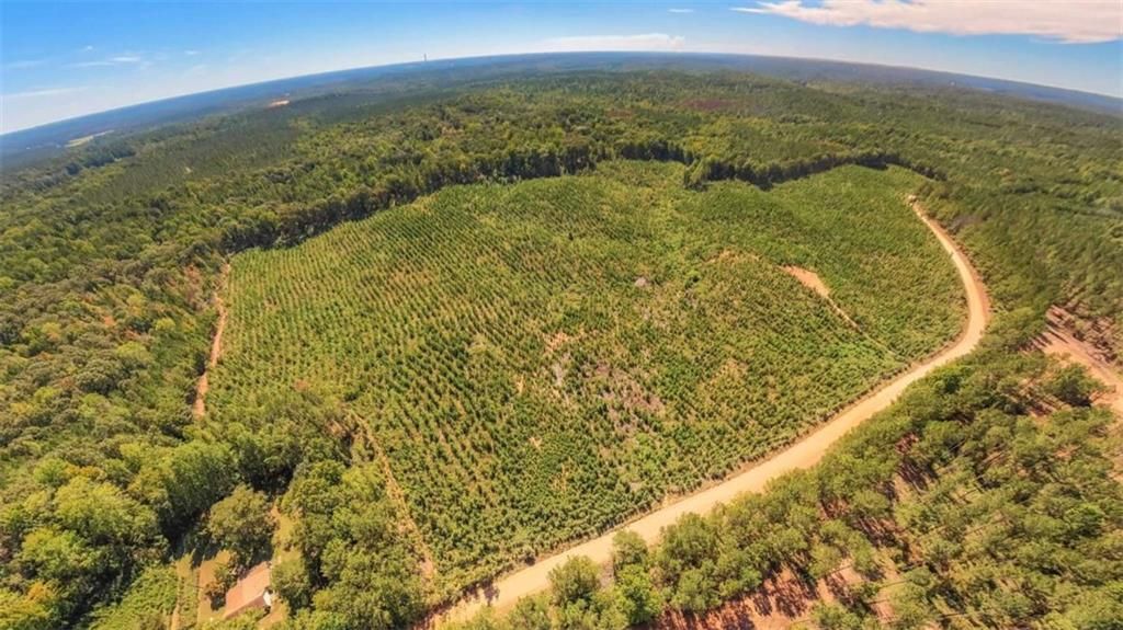 Image 14 of property listing at 0 Hutcheson Ferry Road, Whitesburg, GA 30185