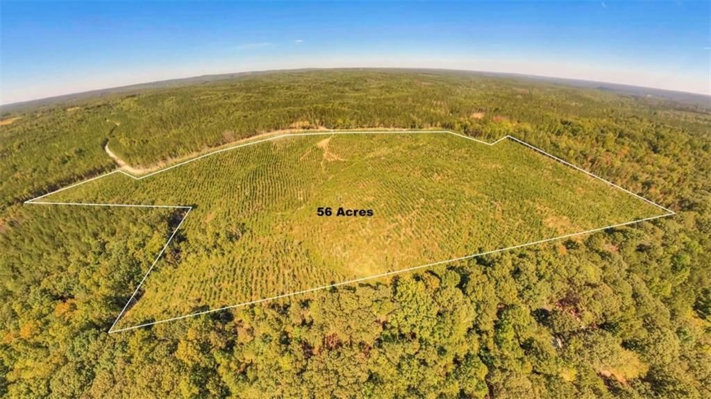 Image 2 of property listing at 0 Hutcheson Ferry Road, Whitesburg, GA 30185