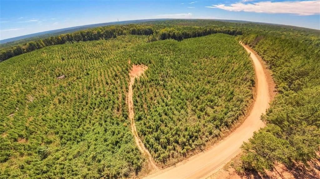 Image 3 of property listing at 0 Hutcheson Ferry Road, Whitesburg, GA 30185