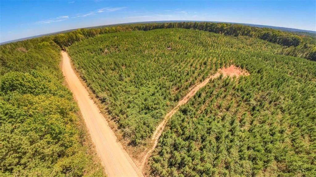 Image 4 of property listing at 0 Hutcheson Ferry Road, Whitesburg, GA 30185