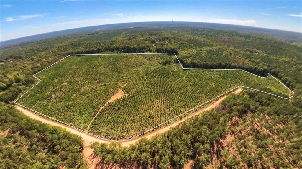 Image 5 of property listing at 0 Hutcheson Ferry Road, Whitesburg, GA 30185