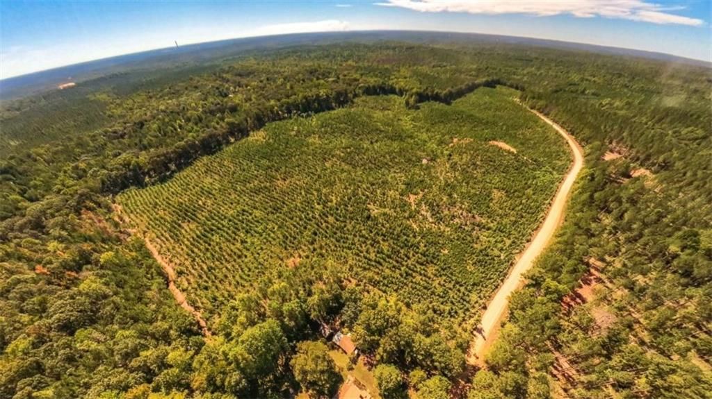 Image 6 of property listing at 0 Hutcheson Ferry Road, Whitesburg, GA 30185