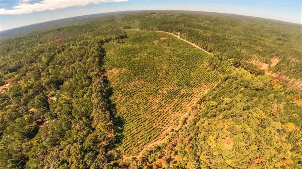 Image 8 of property listing at 0 Hutcheson Ferry Road, Whitesburg, GA 30185