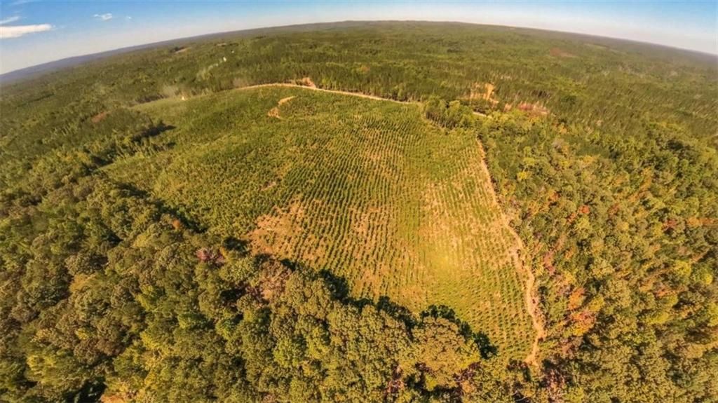 Image 9 of property listing at 0 Hutcheson Ferry Road, Whitesburg, GA 30185