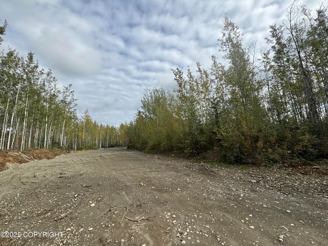 2611 S Walnut wood Drive, Big Lake, AK 99652