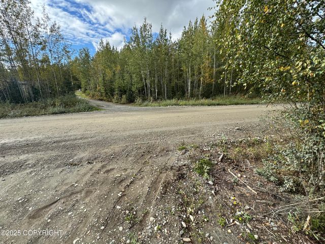 2611 S Walnut wood Drive, Big Lake, AK 99652