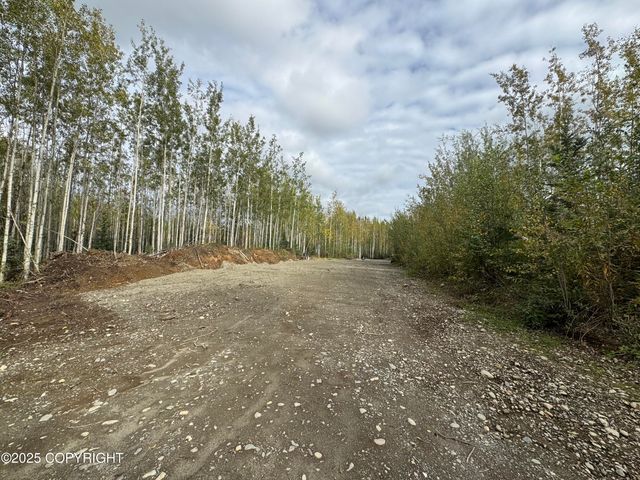 2611 S Walnut wood Drive, Big Lake, AK 99652