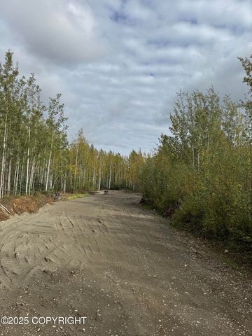 2611 S Walnut wood Drive, Big Lake, AK 99652
