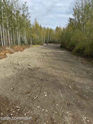 2611 S Walnut wood Drive, Big Lake, AK 99652
