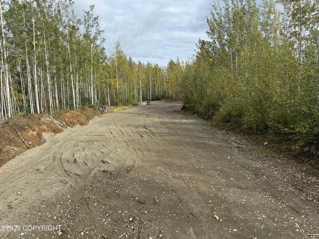 2611 S Walnut wood Drive, Big Lake, AK 99652