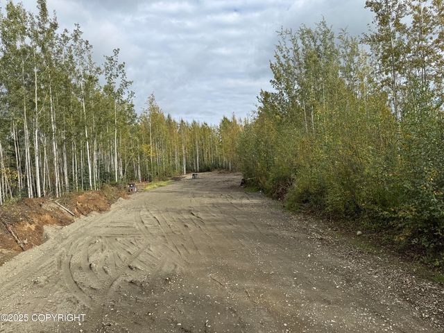 2611 S Walnut wood Drive, Big Lake, AK 99652