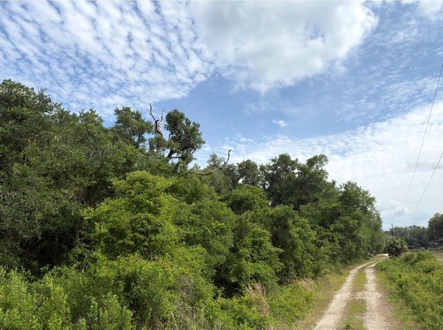 COUNTY ROAD 707, Webster, FL 33597