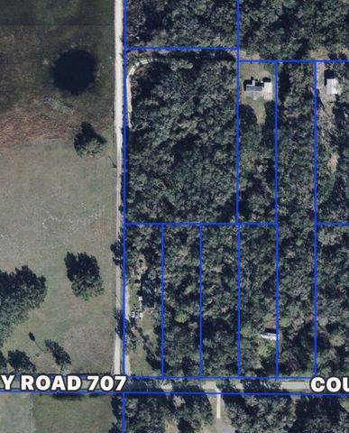 COUNTY ROAD 707, Webster, FL 33597