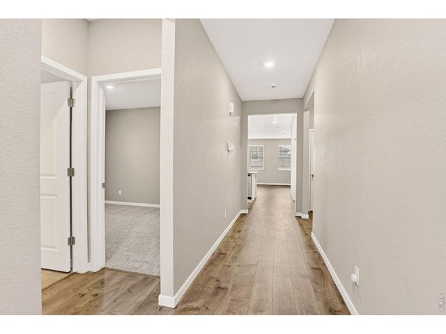 1944 Thundercloud Dr, Windsor, CO 80550