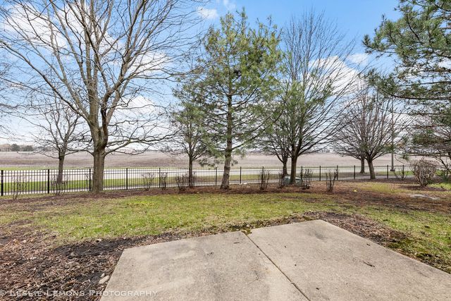 4137 Blackstone Drive 4137, Aurora, IL 60504