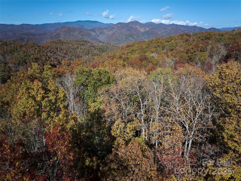00 Black Forest Drive, Bryson City, NC 28713