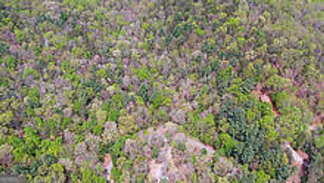 TRACT 2 Clayton Gooch Road, Dahlonega, GA 30533