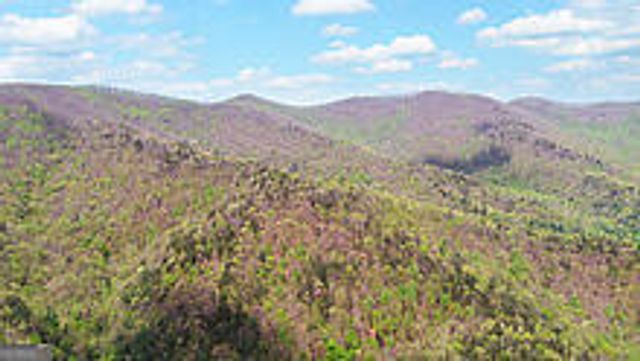 TRACT 2 Clayton Gooch Road, Dahlonega, GA 30533