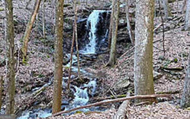 TRACT 2 Clayton Gooch Road, Dahlonega, GA 30533