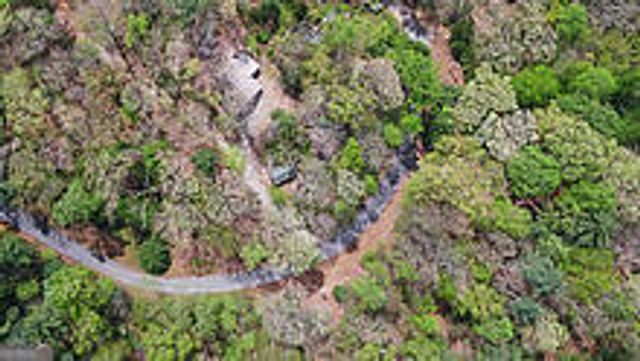 TRACT 2 Clayton Gooch Road, Dahlonega, GA 30533