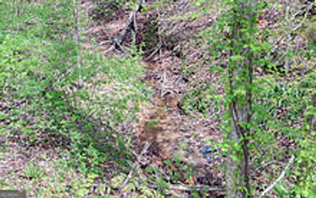 TRACT 2 Clayton Gooch Road, Dahlonega, GA 30533