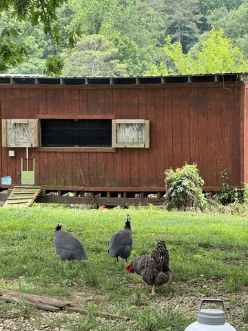 2658 Pickett Park Hwy, Jamestown, TN 38556