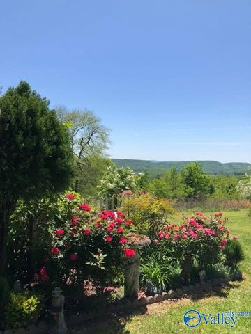 734 Grandview Drive, Altoona, AL 35952