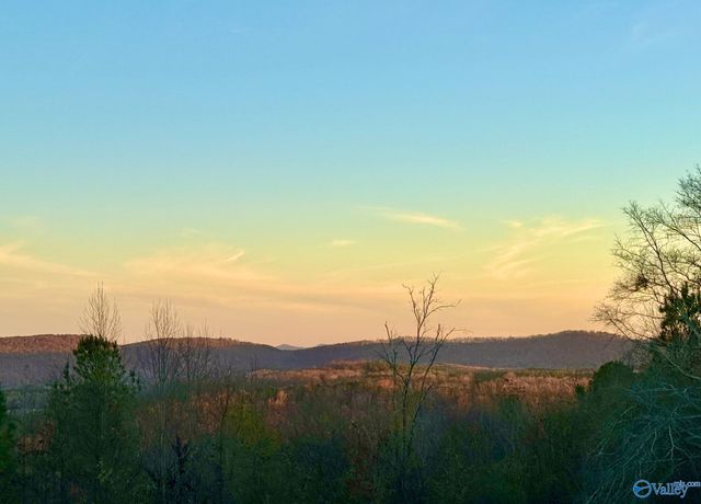 734 Grandview Drive, Altoona, AL 35952