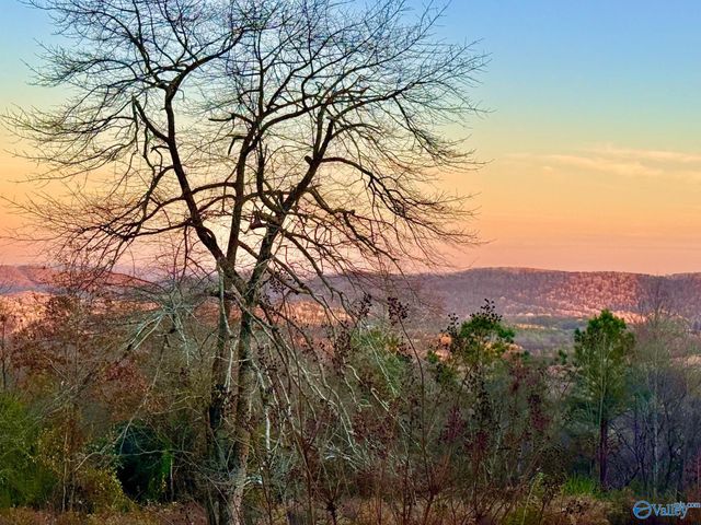 734 Grandview Drive, Altoona, AL 35952