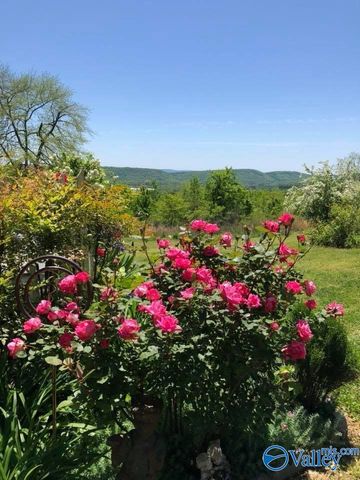 734 Grandview Drive, Altoona, AL 35952