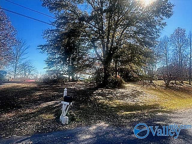 734 Grandview Drive, Altoona, AL 35952