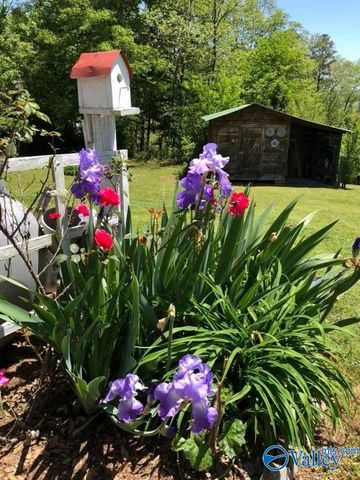 734 Grandview Drive, Altoona, AL 35952