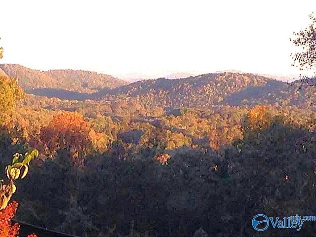 734 Grandview Drive, Altoona, AL 35952