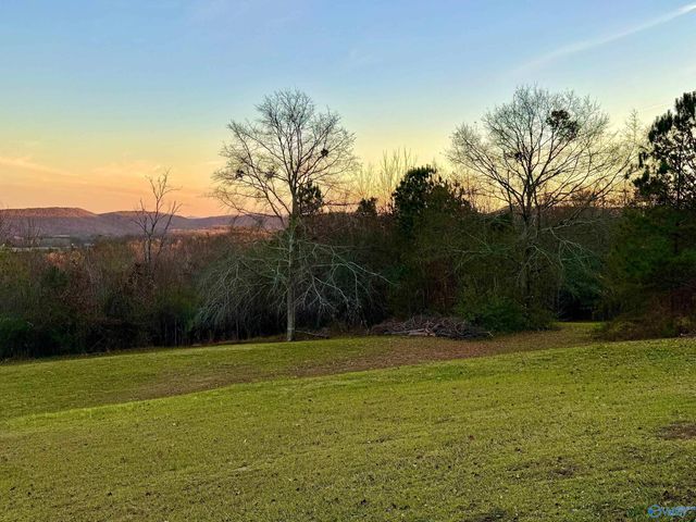 734 Grandview Drive, Altoona, AL 35952