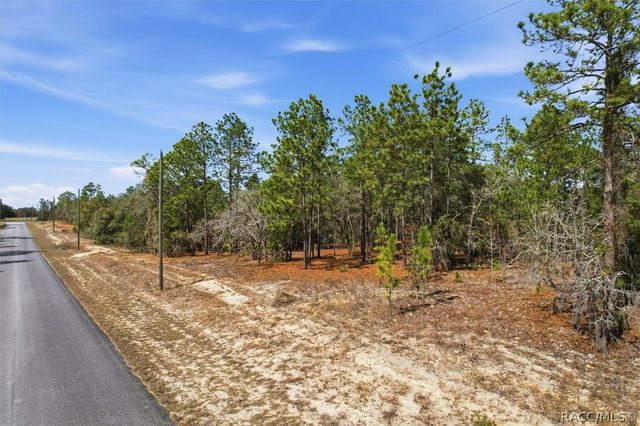 2855 W Gaucho Drive, Citrus Springs, FL 34433