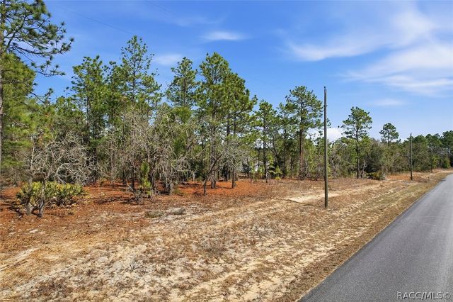 2855 W Gaucho Drive, Citrus Springs, FL 34433