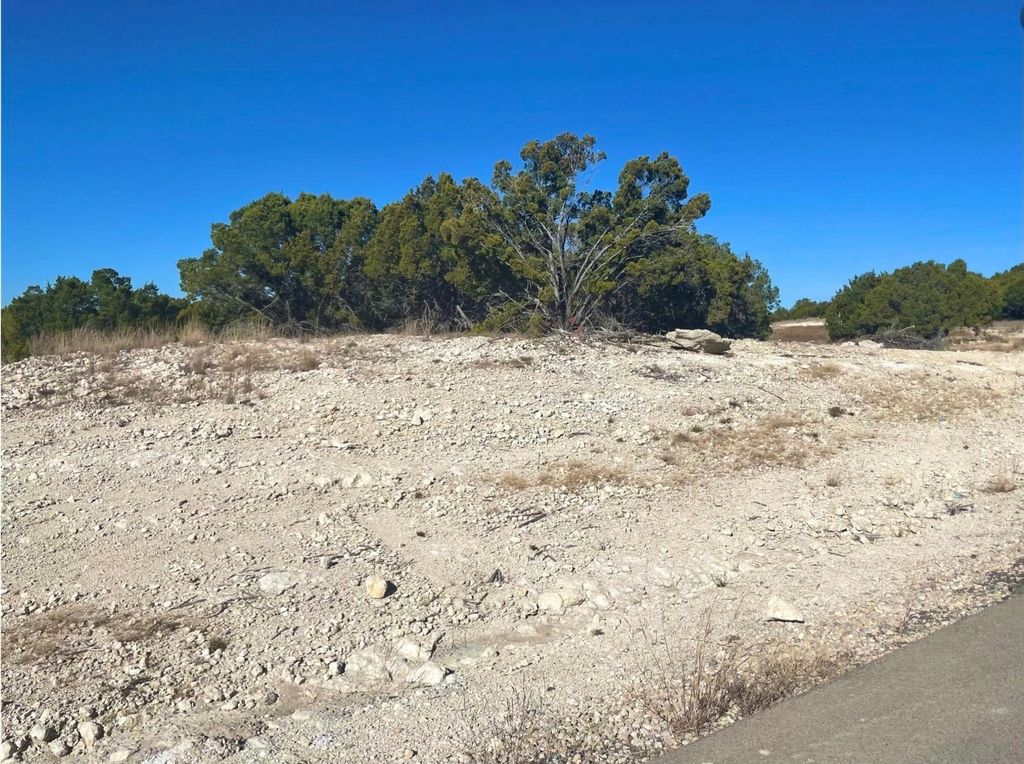 195 Cedar Mountain Drive, Weatherford, TX 76085