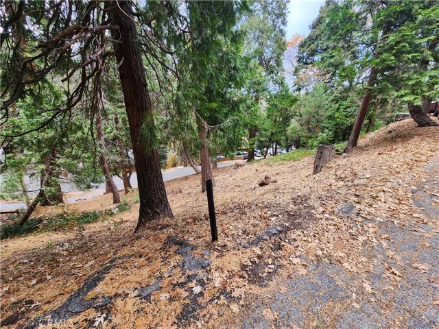 24397 Horst, Crestline, CA 92325