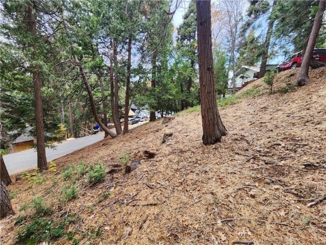 24397 Horst, Crestline, CA 92325