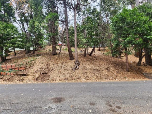 24397 Horst, Crestline, CA 92325