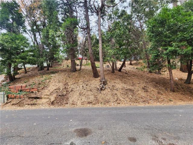 24397 Horst, Crestline, CA 92325